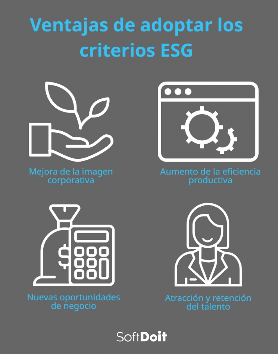 Criterios Esg Qu Son Y C Mo Adoptarlos En La Empresa Gu A